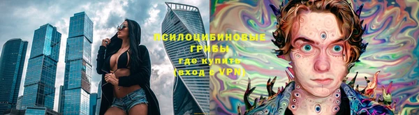 a pvp Абаза