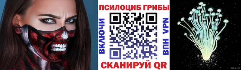 Галлюциногенные грибы Psilocybe  закладка  Кострома 