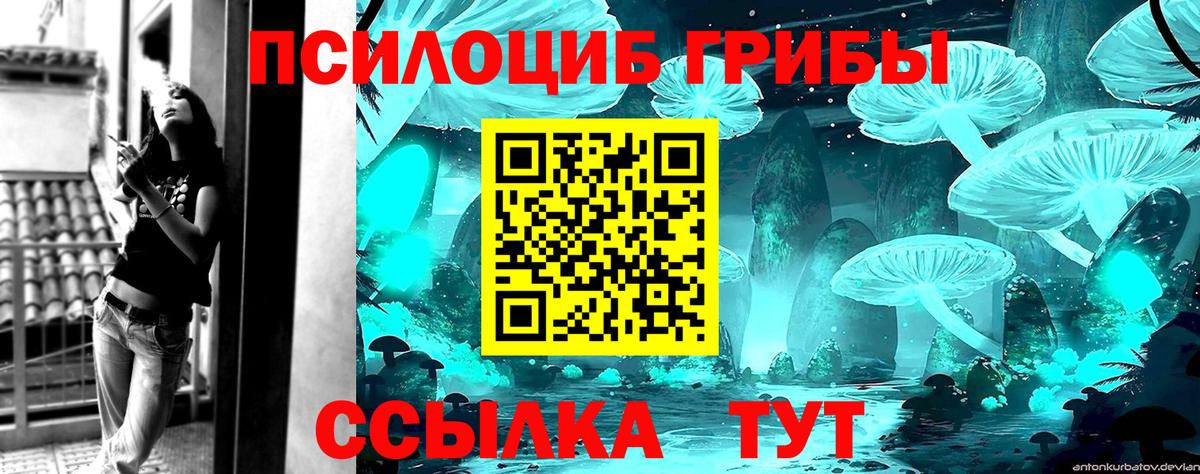Кострома  Галлюциногенные грибы мицелий  Вход с VPN 